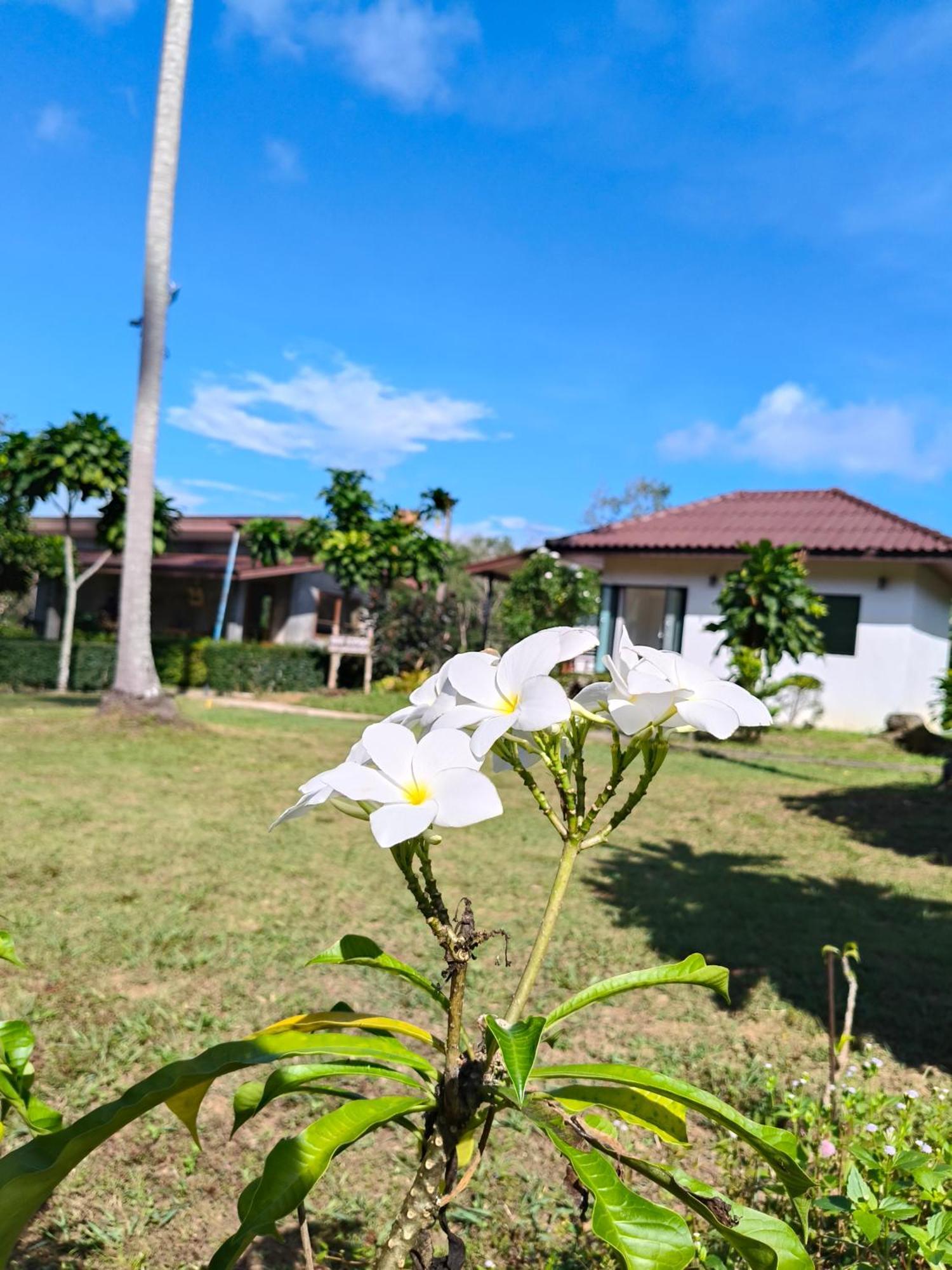 The Lodge At Koh Kood Ko Kut 외부 사진